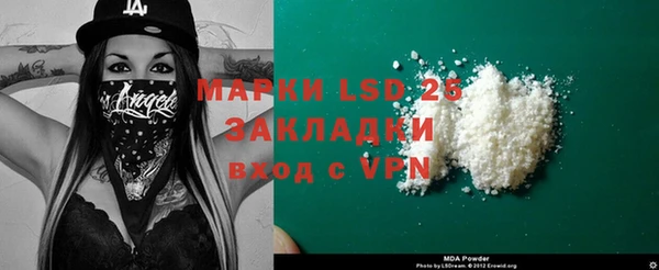 шишки Нея
