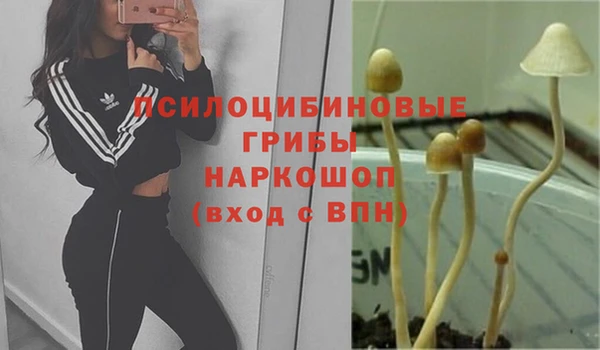 2c-b Нефтекумск