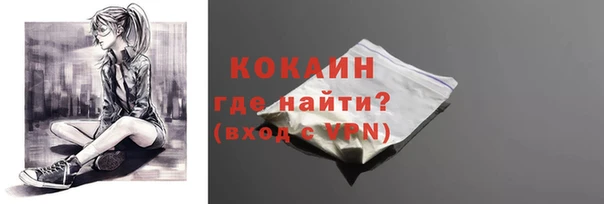 шишки Нея