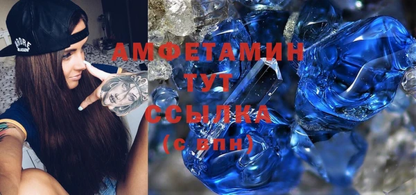 шишки Нея