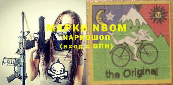 шишки Новокубанск