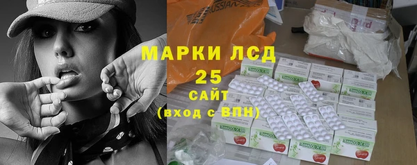 шишки Нея