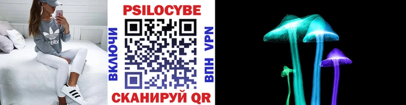 omg ссылка  Почеп  Галлюциногенные грибы ЛСД  купить наркотик 